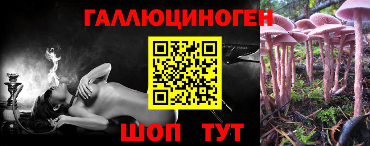 Галлюциногенные грибы мицелий  Вход с VPN  дарнет шоп  Сухой Лог 