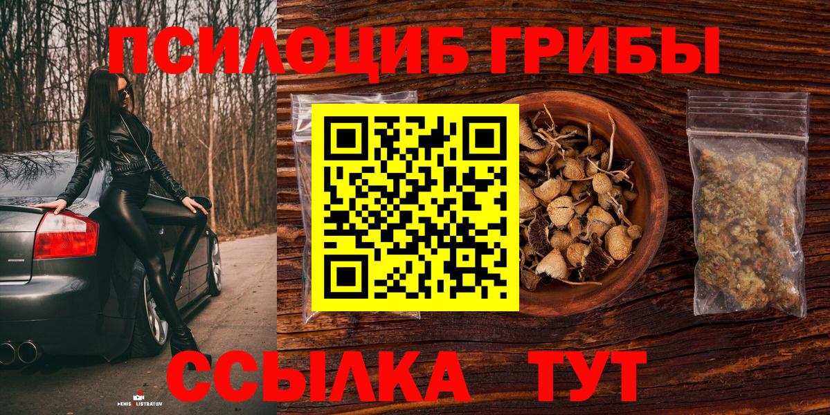 Галлюциногенные грибы Psilocybine cubensis Сухой Лог